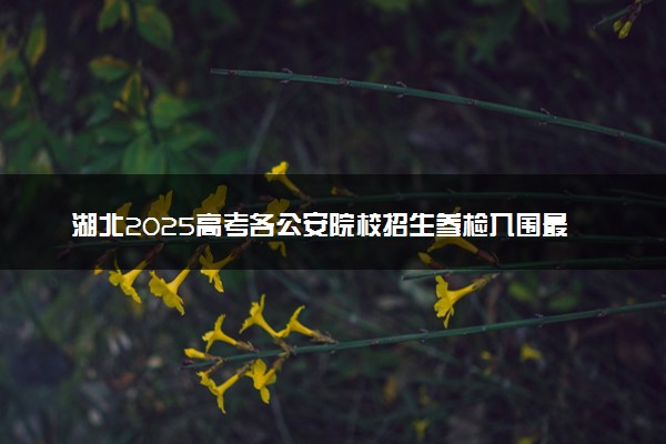湖北2025高考各公安院校招生参检入围最低分数线是多少
