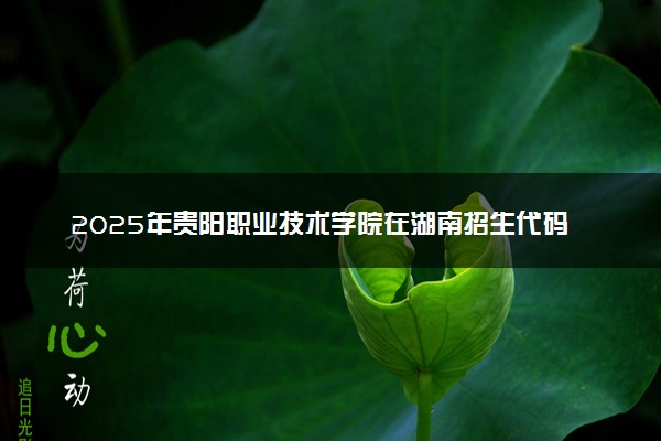 2025年贵阳职业技术学院在湖南招生代码及专业代码 贵阳职业技术学院湖南代码是多少？怎么查询？