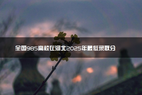 全国985高校在河北2025年最低录取分汇总