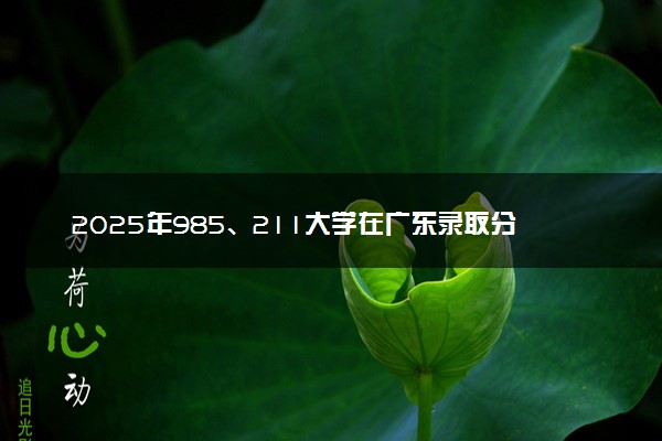 2025年985、211大学在广东录取分数线及位次