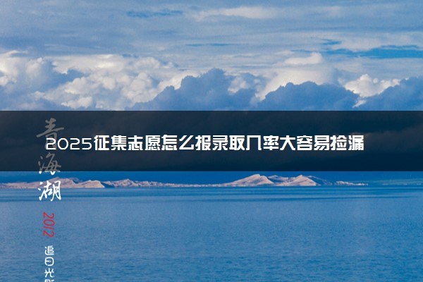 2025征集志愿怎么报录取几率大容易捡漏