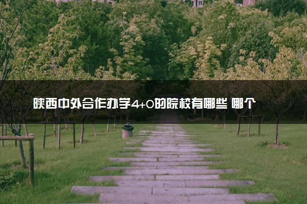 陕西中外合作办学4+0的院校有哪些 哪个学校好