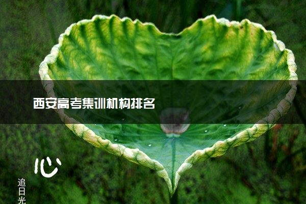 西安高考集训机构排名