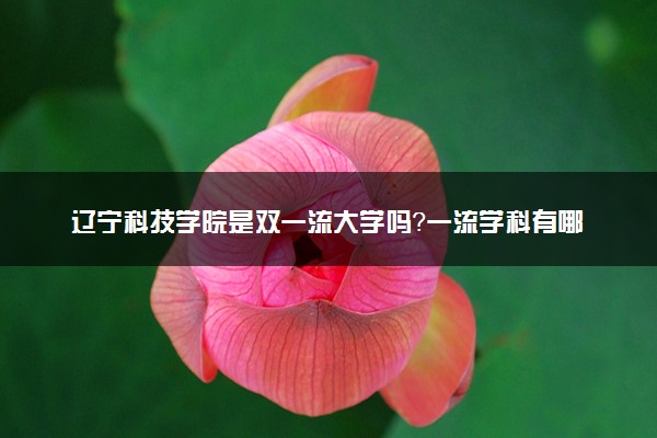 辽宁科技学院是双一流大学吗？一流学科有哪些及历年分数线位次