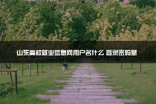 山东高校就业信息网用户名什么 登录密码是啥