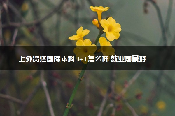 上外贤达国际本科3+1怎么样 就业前景好吗