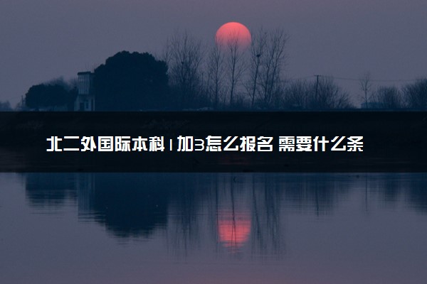 北二外国际本科1加3怎么报名 需要什么条件