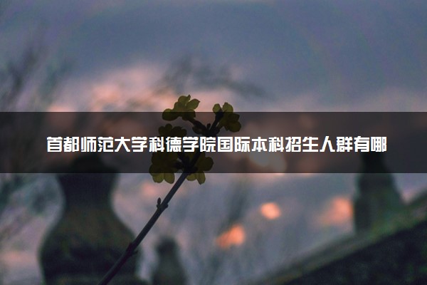首都师范大学科德学院国际本科招生人群有哪些