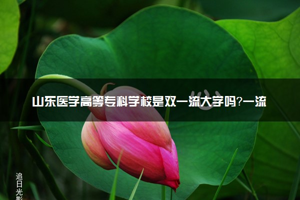 山东医学高等专科学校是双一流大学吗？一流学科有哪些及历年分数线位次