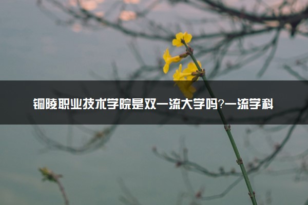 铜陵职业技术学院是双一流大学吗？一流学科有哪些及历年分数线位次