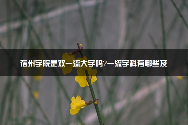 宿州学院是双一流大学吗？一流学科有哪些及历年分数线位次