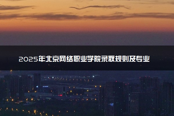 2025年北京网络职业学院录取规则及专业设置 录取结果一般几天出来