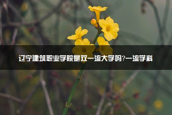 辽宁建筑职业学院是双一流大学吗？一流学科有哪些及历年分数线位次