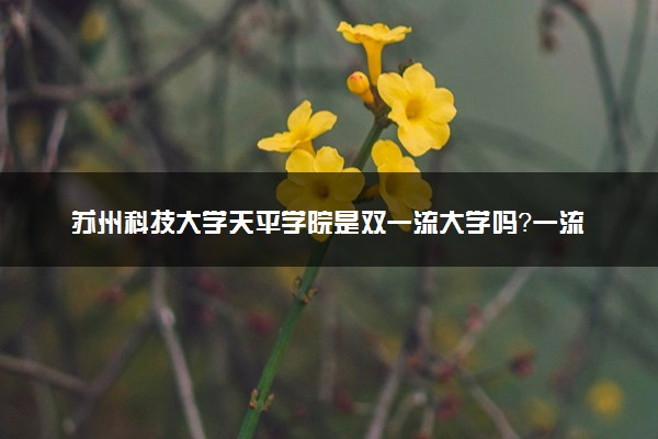 苏州科技大学天平学院是双一流大学吗？一流学科有哪些及历年分数线位次