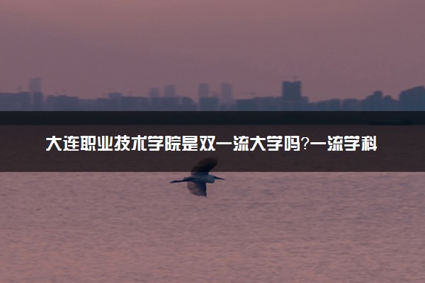 大连职业技术学院是双一流大学吗？一流学科有哪些及历年分数线位次