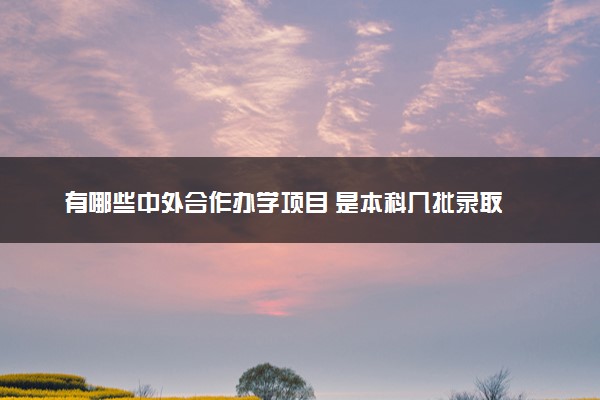 有哪些中外合作办学项目 是本科几批录取