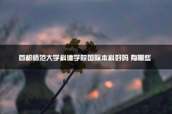 首都师范大学科德学院国际本科好吗 有哪些优势专业