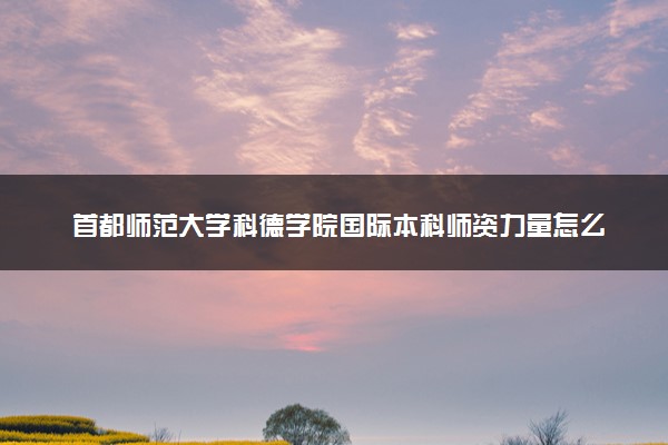 首都师范大学科德学院国际本科师资力量怎么样