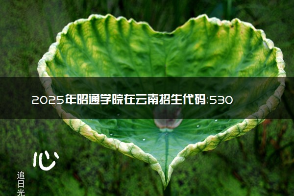 2025年昭通学院在云南招生代码：5309 专业代码及报考指南
