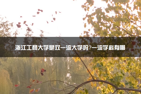 浙江工商大学是双一流大学吗？一流学科有哪些及历年分数线位次
