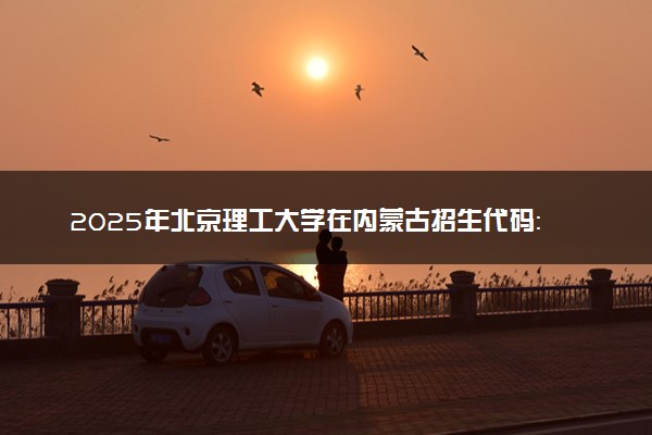 2025年北京理工大学在内蒙古招生代码：199 专业代码及报考指南