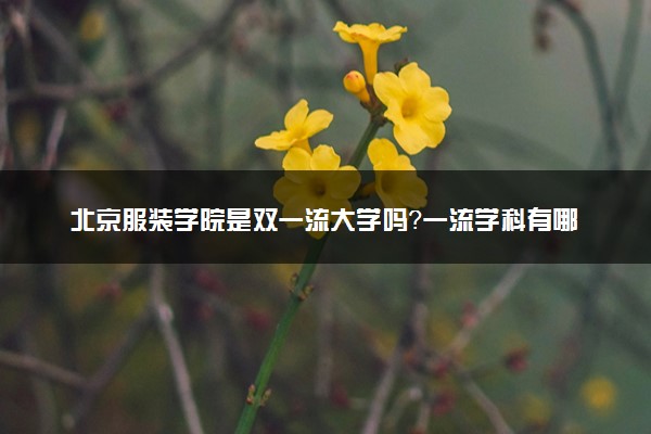 北京服装学院是双一流大学吗？一流学科有哪些及历年分数线位次