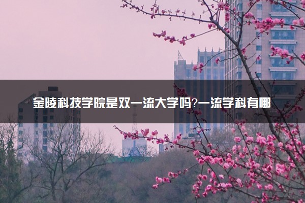 金陵科技学院是双一流大学吗？一流学科有哪些及历年分数线位次
