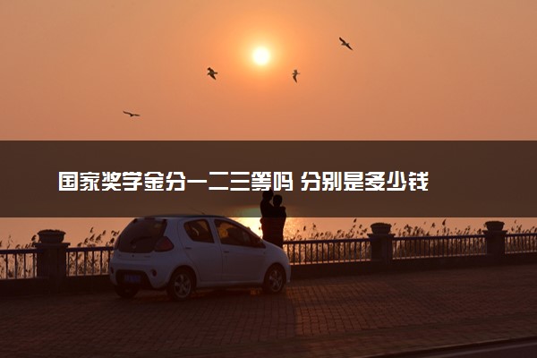 国家奖学金分一二三等吗 分别是多少钱