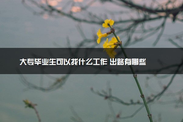 大专毕业生可以找什么工作 出路有哪些