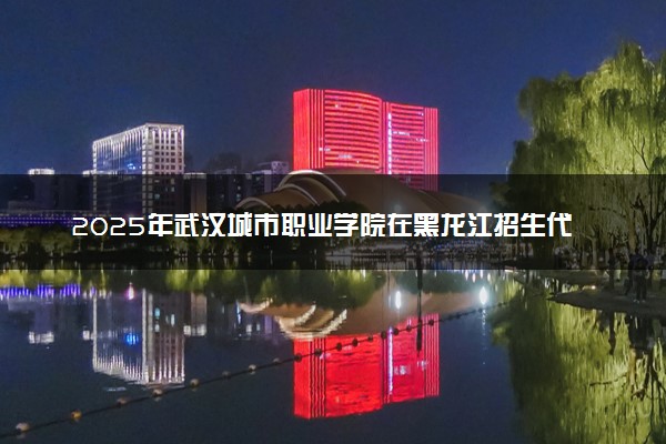 2025年武汉城市职业学院在黑龙江招生代码：5109 专业代码及报考指南