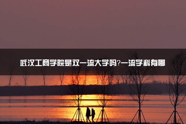 武汉工商学院是双一流大学吗？一流学科有哪些及历年分数线位次