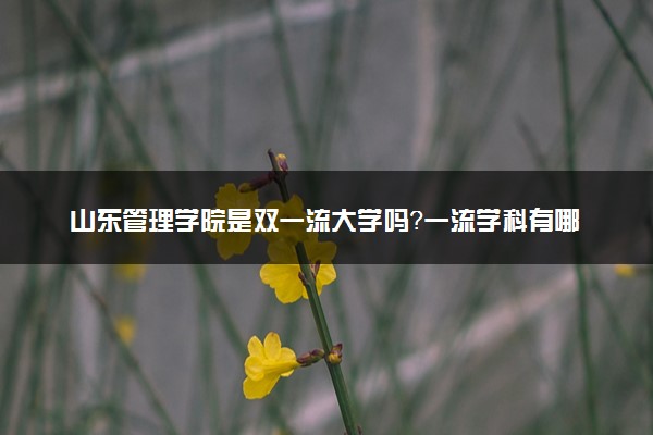 山东管理学院是双一流大学吗？一流学科有哪些及历年分数线位次