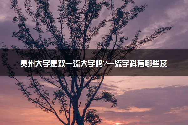 贵州大学是双一流大学吗？一流学科有哪些及历年分数线位次
