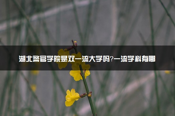 湖北警官学院是双一流大学吗？一流学科有哪些及历年分数线位次