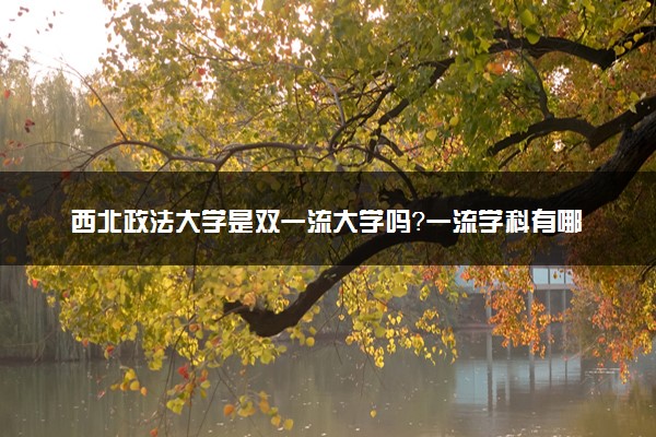 西北政法大学是双一流大学吗？一流学科有哪些及历年分数线位次