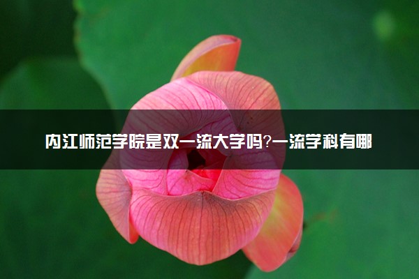 内江师范学院是双一流大学吗？一流学科有哪些及历年分数线位次