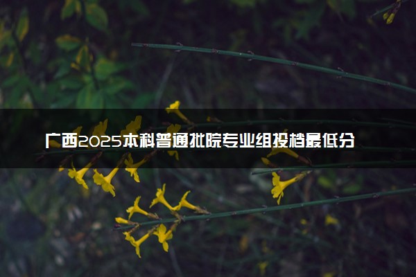 广西2025本科普通批院专业组投档最低分数线是多少