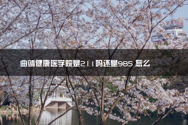 曲靖健康医学院是211吗还是985 怎么样值得读吗及学长学姐评价
