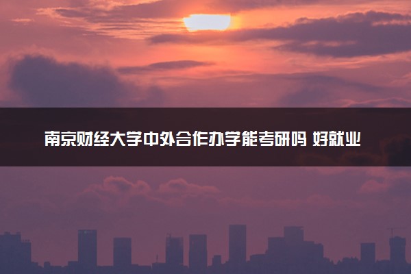 南京财经大学中外合作办学能考研吗 好就业吗