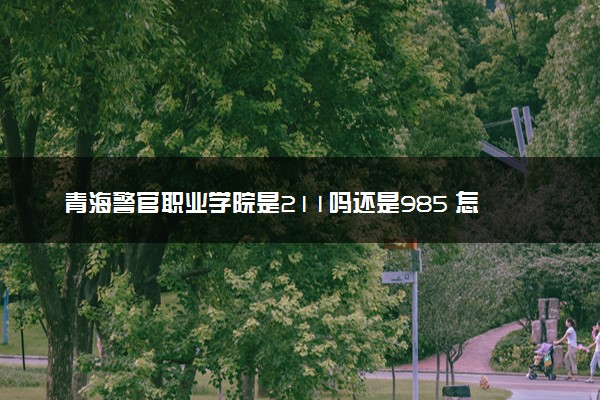 青海警官职业学院是211吗还是985 怎么样值得读吗及学长学姐评价