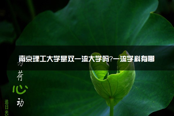 南京理工大学是双一流大学吗？一流学科有哪些及历年分数线位次