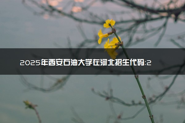 2025年西安石油大学在河北招生代码：2211 专业代码及报考指南