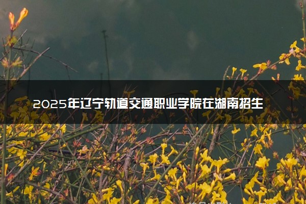 2025年辽宁轨道交通职业学院在湖南招生代码：2167 专业代码及报考指南