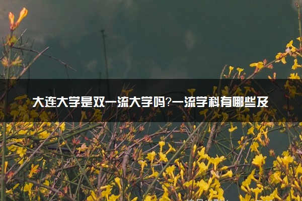 大连大学是双一流大学吗？一流学科有哪些及历年分数线位次