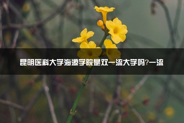 昆明医科大学海源学院是双一流大学吗？一流学科有哪些及历年分数线位次
