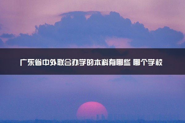 广东省中外联合办学的本科有哪些 哪个学校好