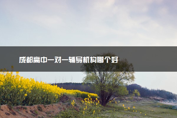 成都高中一对一辅导机构哪个好