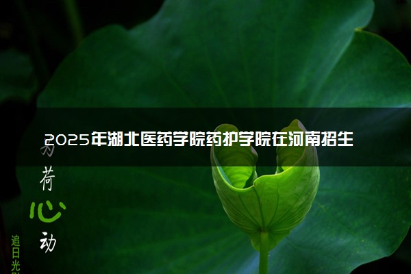 2025年湖北医药学院药护学院在河南招生代码及专业代码 湖北医药学院药护学院河南代码是多少？怎么查询？