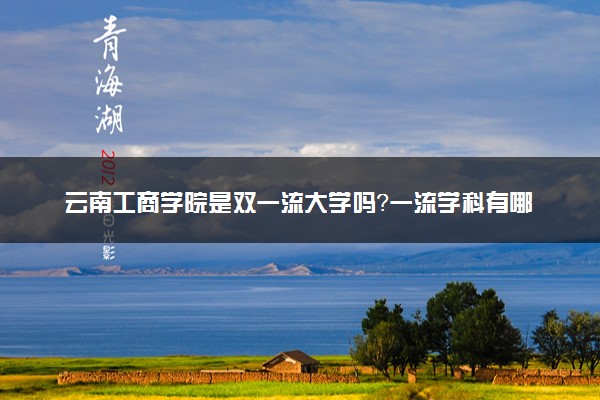 云南工商学院是双一流大学吗？一流学科有哪些及历年分数线位次
