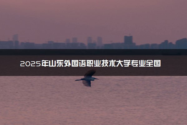 2025年山东外国语职业技术大学专业全国排名及王牌专业有哪些
